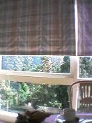 ���X�g�������猩�����i�B�Y�킾�����̂ŁA�B��܂�����