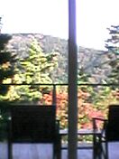 �������Ă��΂炭���[�����n�����Ă���N���Ă݂đO�̓�l�����Ȃ������̂ŎB�������́B���̂��ƍĂяn���B