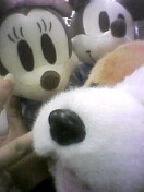 �F�l�̂����Ŏ����v���C����UFO�L���b�`���[�Ŏ�����ʂ�����݂ł��B����͗F�l�̖Ís������B�����Ɍ����Ă���w�͕ʂ̗F�l�̎w��������c�B