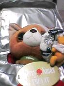 ����Ɠ�����UFO�L���b�`���[�Ŏ�����험�i�B����͎����Ŏ��܂����B�E�̃v�[����̃��[�X�͑��l�̂����Ŏ�������Ƃ���𑘂킹��4���܂����I�I�������S���ꔭ�ŁI�I