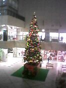 ����ɂ����t���ő�̃V���b�s���O���[��(�炵��)�̒���ɂǁ[����ƍ\���Ă�N���X�}�X�c���[�B��������ăN���X�}�X���߂��񂾂Ȃ��Ƃ��݂��ݎv���܂���