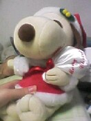 �F�lA������Ă��ꂽ�ʂ�����݂̂����̈�B�e�؂ɂ�����ȃL���[�g�Ȃʂ�����݂�����܂����I�I����vv���Ȃ݂ɎB�����͎̂��̕����ŁA�ʂ�����݂��x���Ă����͎��ł�(^^�U