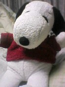 �ގ��ƃf�[�g�s�����۔ގ�������Ă��ꂽ�ʂ�����݁B�������A���̊ԂɌ��\�����𒍂�����ł��܂����Ƃ������n�����Ղ肪�c�B�厖�ȃV�����m��