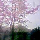 w̒ʊwHɍ炢Ă؁BAsڂĉȂ񂾂܂ˁc()