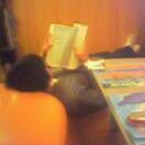 �������O����ɂĂ�1�R�}�B�I���W���Q�]�����ĐV����ǂ�ł���݂����������̂ŁA�ӂ����ĎB��܂����B