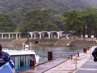 �F�����㗤