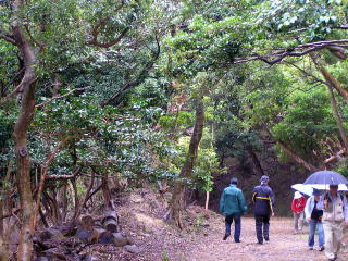 �����T���ł�