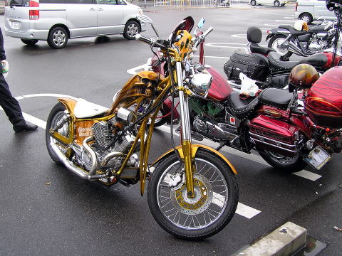 �������J�X�^���ł��Ȃ�(^^;)