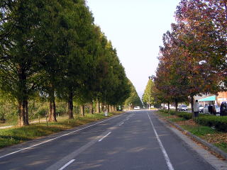 �Z�R�C������