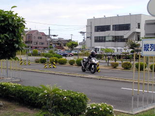 �r�r�ŃX�����[���͐h���I