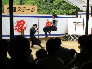 �E�ғ��m�̎���