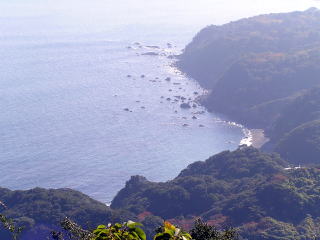 �K���Ɍi�F���B���Ă݂�