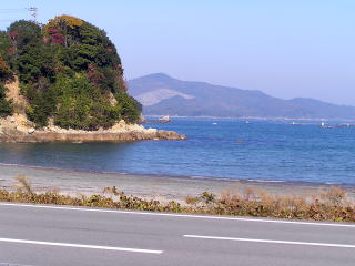 �K���Ɍi�F���B���Ă݂�