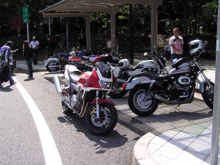 ���֏�苒��