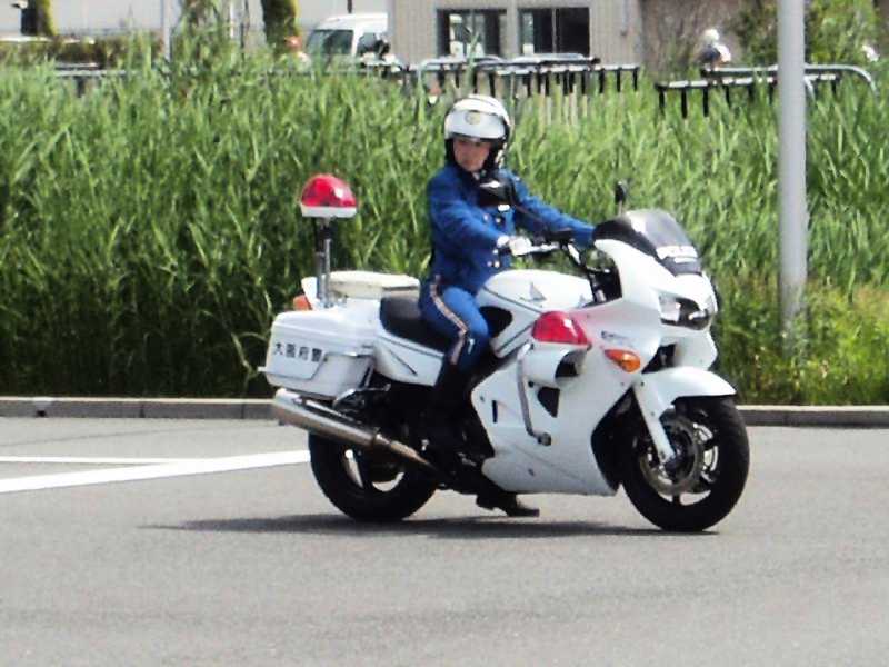 ���S�u�K��