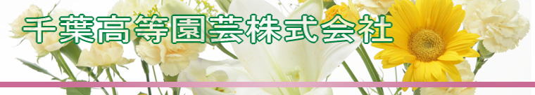 ��t�������|�������