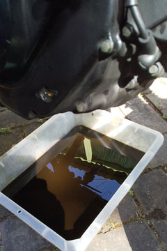 �I�C������