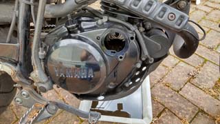 �I�C������