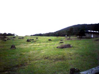 ���ƕ��̑�n