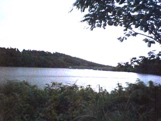 �G�X�q�̐e�q�r