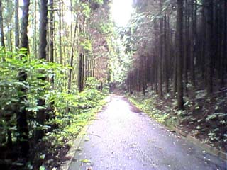 �B���x���獕�����ʂ�