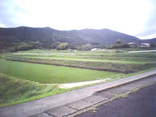 ���m������