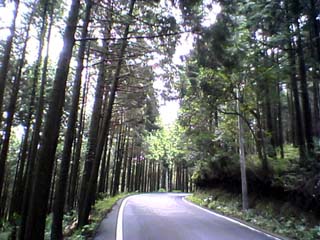 �R�肩��G�X�q��