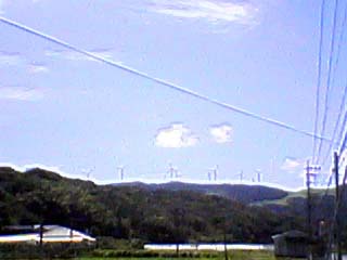 �R��̕��Ԃ���