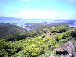 �����R����̕��i�P