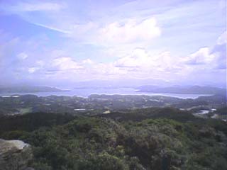 ���󑠓W�]�䂩��̌i�F