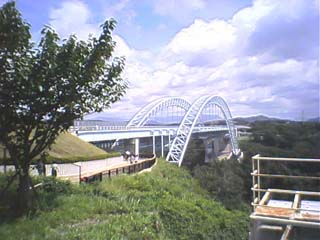 �V���C��