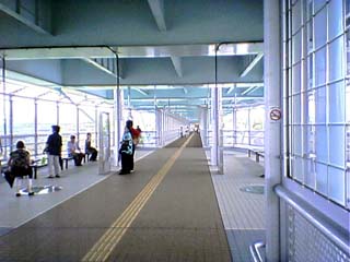 �V���C������