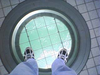 �V���C���K���X�̏�