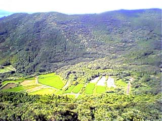 �␅�x����̓W�]�i�R���j