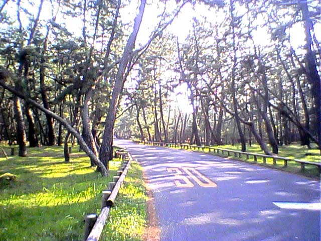 ���̏���