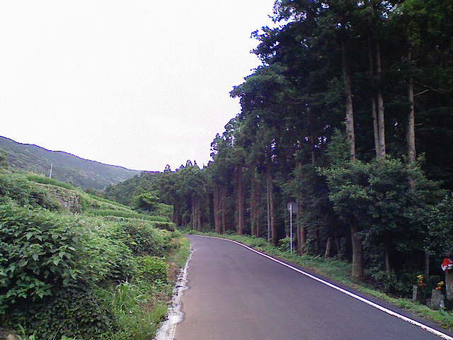 ����11����