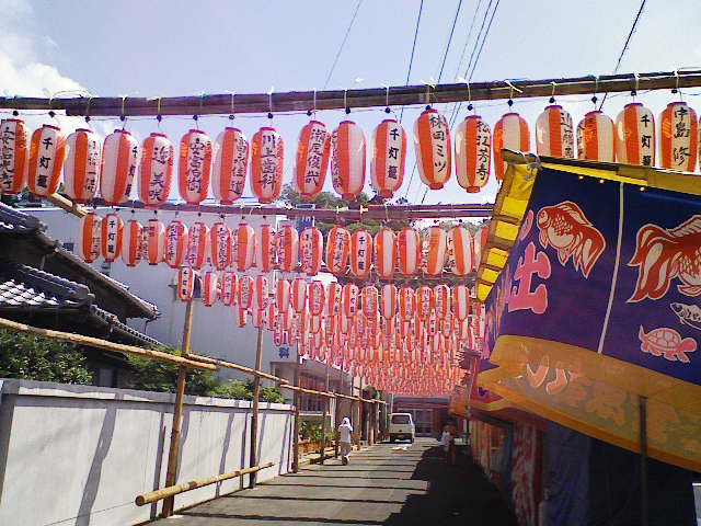 �瓔�U�����̏��X�X