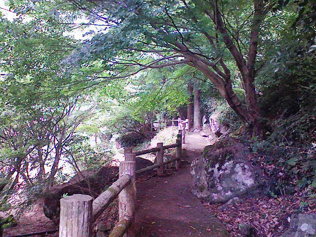 ��܂ł̕���