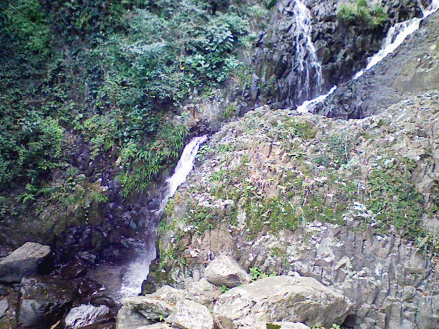 �x�e������̑�