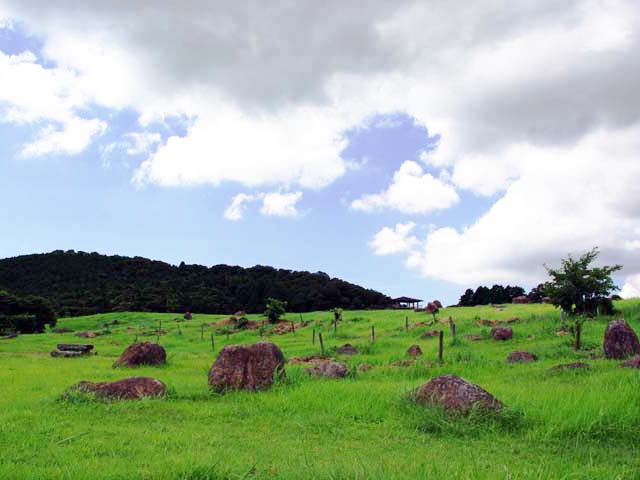 ���Ɛ��̍L��