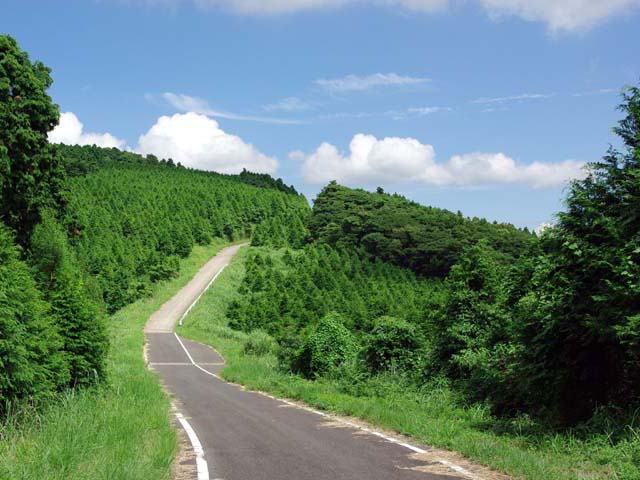 �E�H�[�J�[�Y�p�[�N