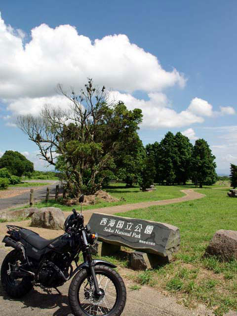 ���C����������