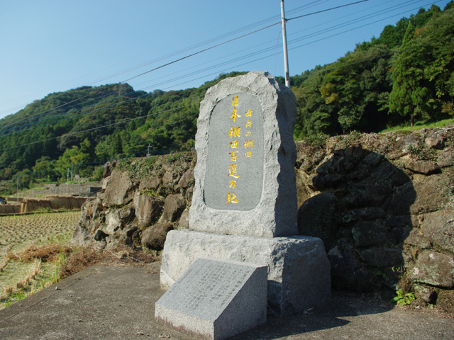 �����̒I�c��