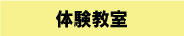 知育にも役立つ体験教室を開催しています