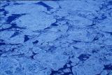 流氷の形は様々