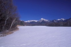 八ヶ岳実践牧場の冬