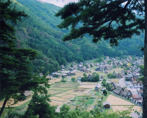 すげー
