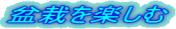 ~͂y