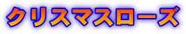NX}X[Y 