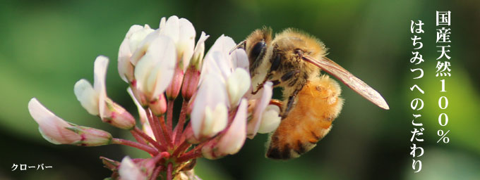 国産天然100％はちみつへのこだわり-花園養蜂場